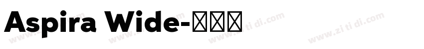 Aspira Wide字体转换